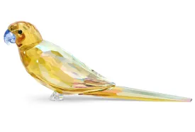 Jungle Beats Yellow Parakeet Lechee