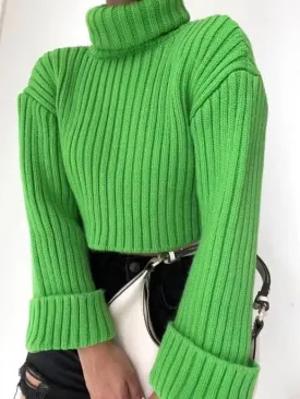 Vibrant Fall  Sweaters