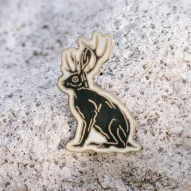 West Texas Enamel Pins