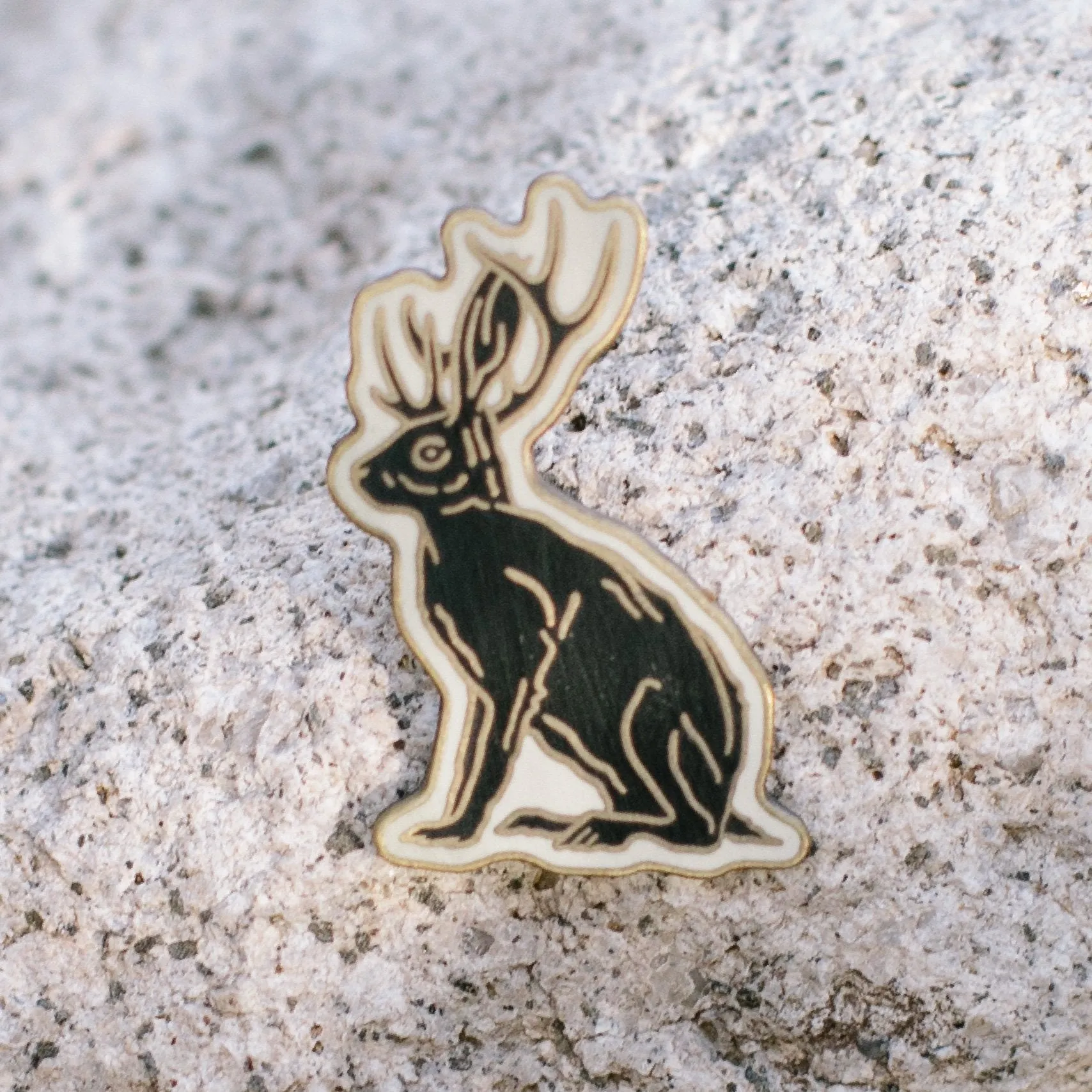 West Texas Enamel Pins